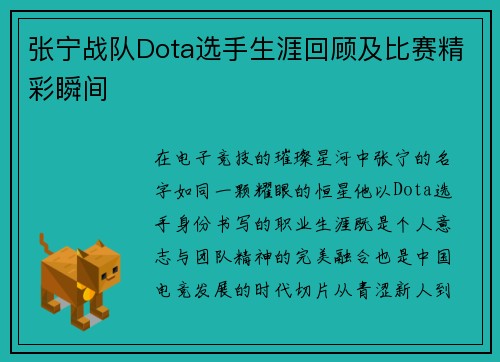 张宁战队Dota选手生涯回顾及比赛精彩瞬间